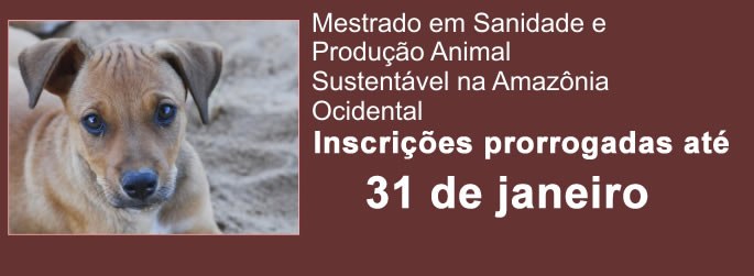 Edital PROPEG nº 020/2013 - Exame de Seleção para Admissão no Curso de Mestrado em Sanidade e Produção Animal Sustentável na Amazônia Ocidental Edital PROPEG nº 020/2013 - Exame de Seleção para Admissão no Curso de Mestrado em Sanidade e Produção Animal Sustentável na Amazônia Ocidental
